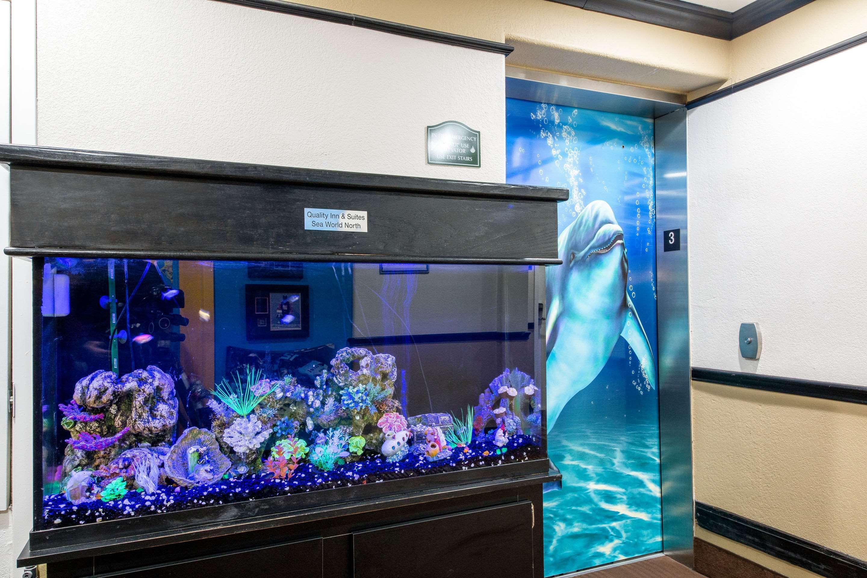 Quality Inn & Suites Seaworld North San Antonio Esterno foto